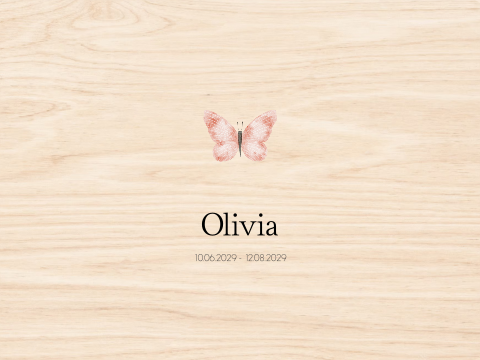 Memorybox hout overlijden rouw kind baby vlinder roze