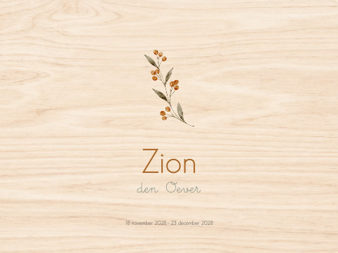 Memorybox overlijden takje besjes aardetinten