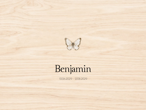 Memorybox hout overlijden rouw kind baby vlinder bruin