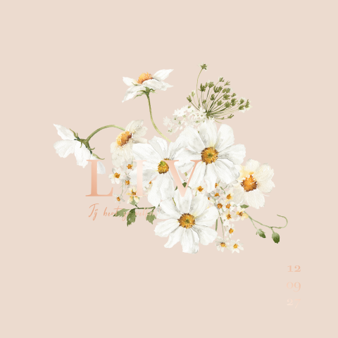 Geboortekaartje meisje madeliefjes boeket roze vierkant dubbel folie