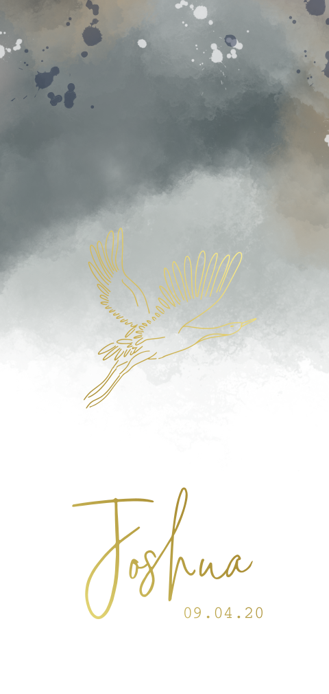 Geboortekaartje voor een jongen met goudfolie en kraanvogel