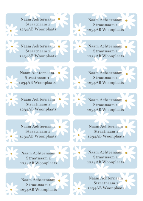 Adresstickers licht blauw met madeliefjes