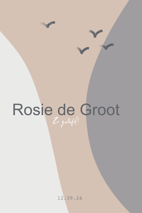 Geboortekaartje meisje met vogels en kleurvlakken roze blauw