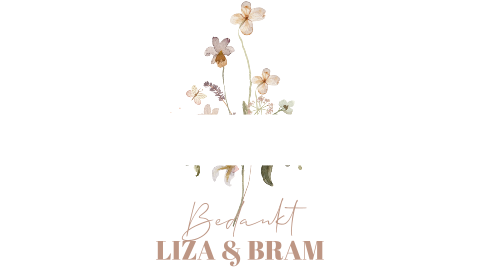 Enveloppen kist voor kaarten op de bruiloft in stijl van de trouwkaart