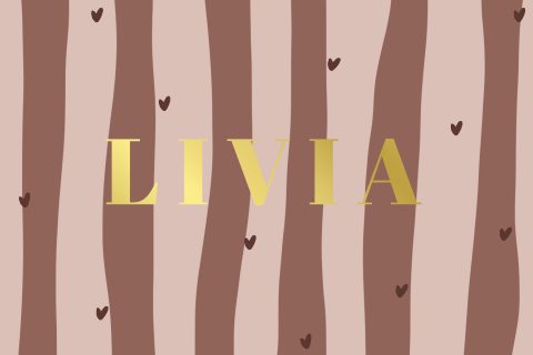 Geboortekaartje meisje met roze oranje strepen en hartjes