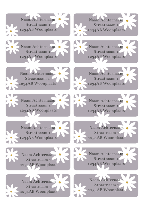 Adresstickers paars met madeliefjes