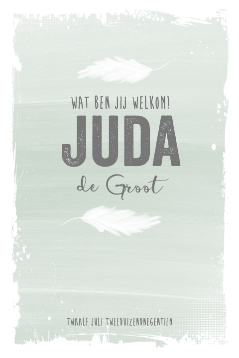 Stoer geboortekaartje met veertjes en watercolor achtergrond