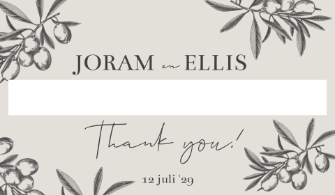 Enveloppen doos voor de kaarten op jullie bruiloft met olijftakjes