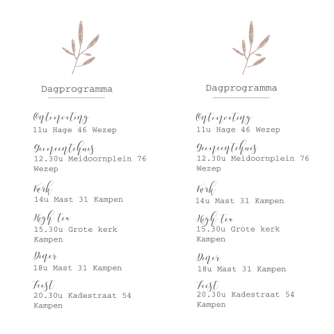 Dagprogramma voor de daggasten met roze takje