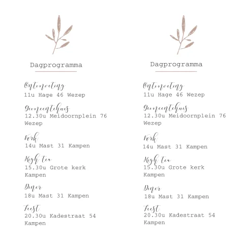 Dagprogramma voor de daggasten met roze takje