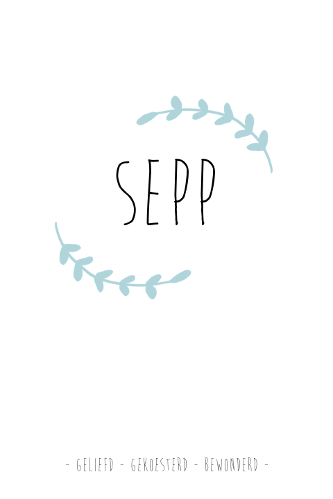 Lief en rustig geboortekaartje voor een jongen