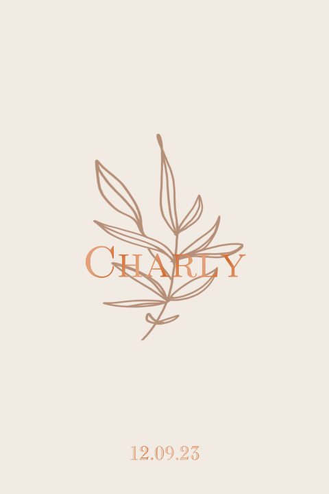 Geboortekaartje minimalistisch jongen of meisje met takje en folie