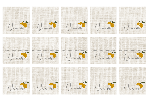 Naamkaartjes voor een unieke tafelsetting, met citroentjes.