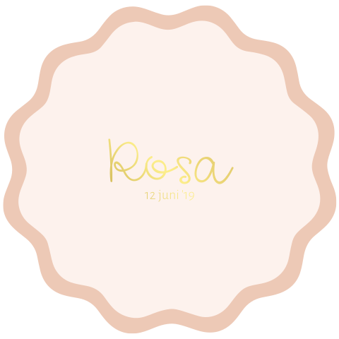 Geboortekaartje meisje roze met goud