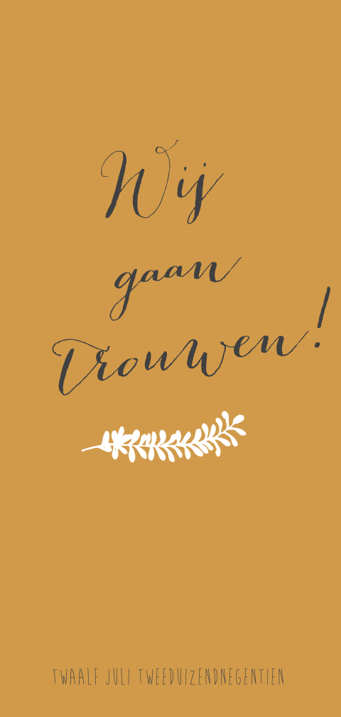 Kleine kaart passend bij een grote fotokaart