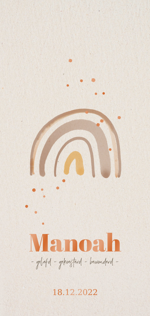 Geboortekaartje jongen meisje bohemian regenboog koperfolie