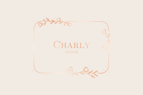 Geboortekaartje meisje met bloemen takjes in folie