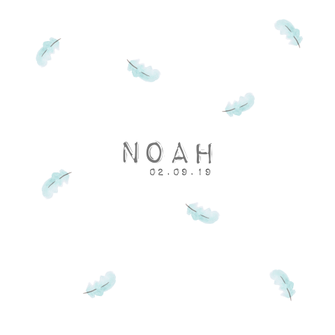 Lief kaartje met kleine watercolor veertjes