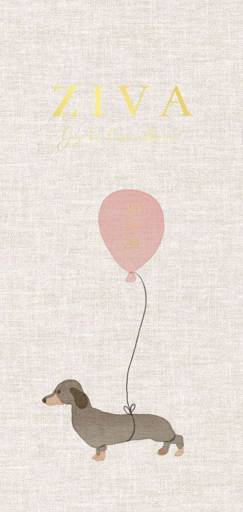 Geboortekaartje met teckel hondje meisje ballon tekst in goudfolie
