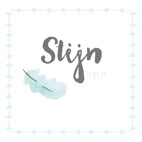 Lief geboortekaartje met veer voor een jongen