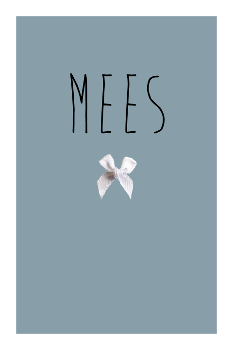 Geboortekaartje voor een jongen met strikje