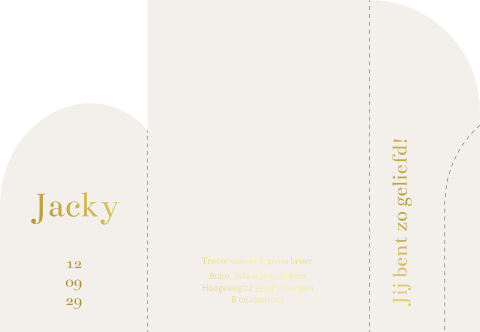Geboortekaartje drieluik boogvorm jongen meisje met goudfolie en foto
