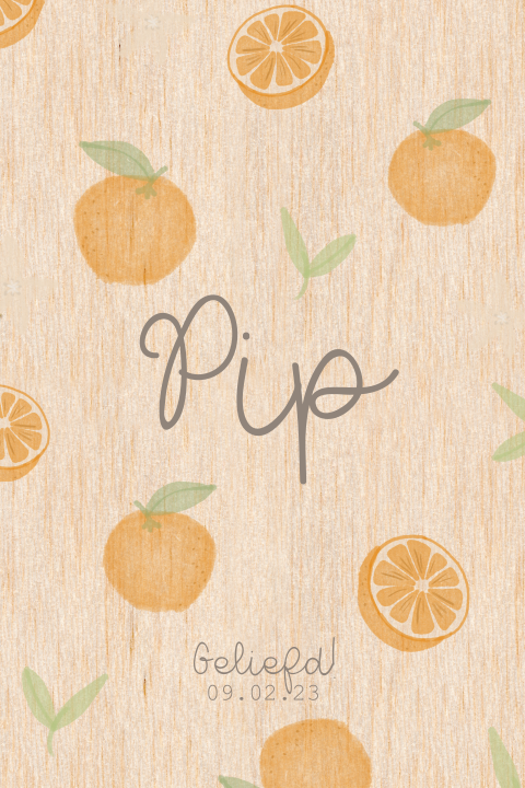 Geboortekaartje meisje sinaasappels watercolour op hout