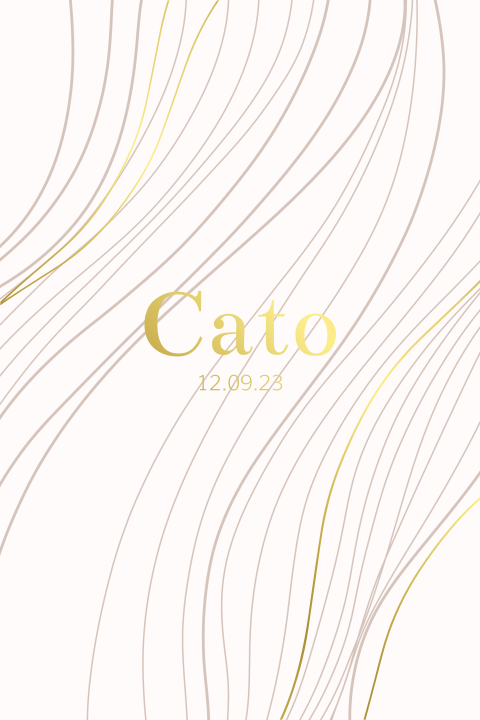 Geboortekaartje minimalistisch lijnen foliedruk oud roze