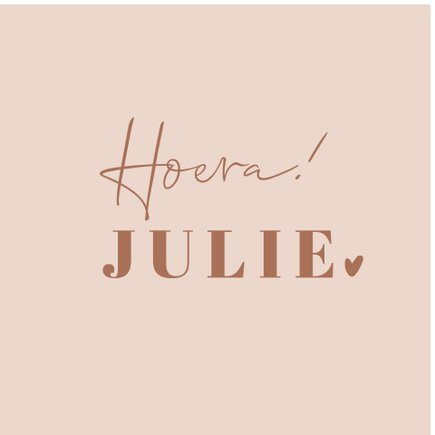 Geboortebord raam dubbel meisje roze met paarse letters