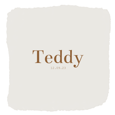 Geboortekaartje unisex minimalistisch met rand