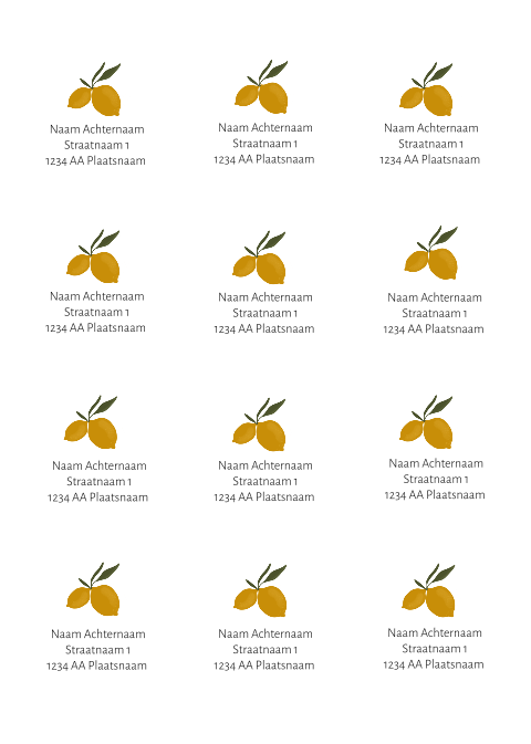 ronde adressticker enveloppe geboortekaartje of trouwkaart citroen wit