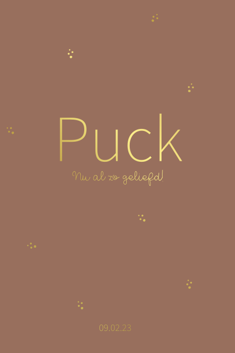 Geboortekaartje dochter met rood roest kleur en folie stipjes