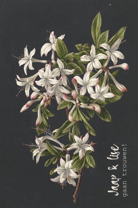 Mooi trouwkaart met schilderij van Rijksstudio