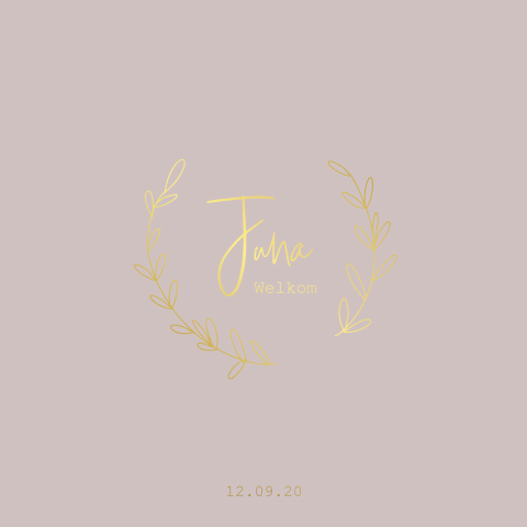 Lief rustig geboortekaartje voor een meisje met takjes en foliedruk