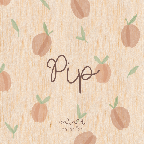 Geboortekaartje meisje op hout met perziken watercolor