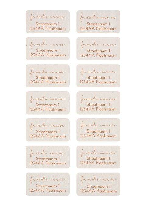 adressticker sierlijke naam beige geboorte jongen meisje