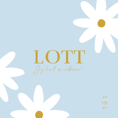 Geboortekaartje meisje madeliefjes licht blauw geel en wit