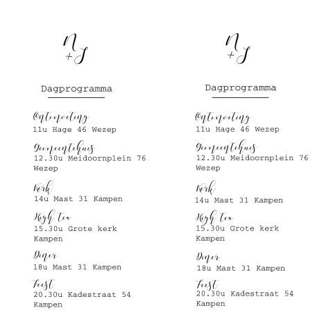 Dagprogramma daggasten in minimalistische trouwhuisstijl