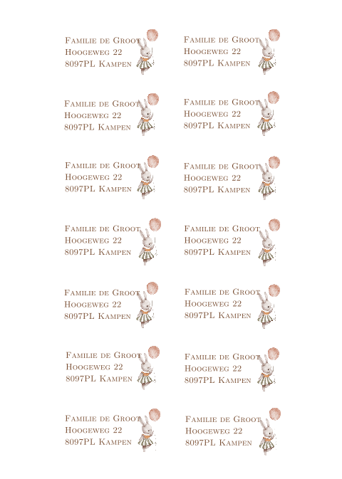 adresstickers konijntje met ballon