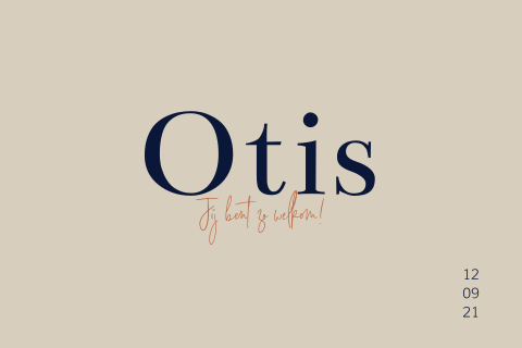 Geboortekaartje jongen minimalistisch stoer natuurtinten en blauw