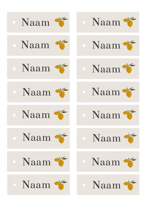 Naamkaartjes voor op de borden voor tafelsetting met citroenen