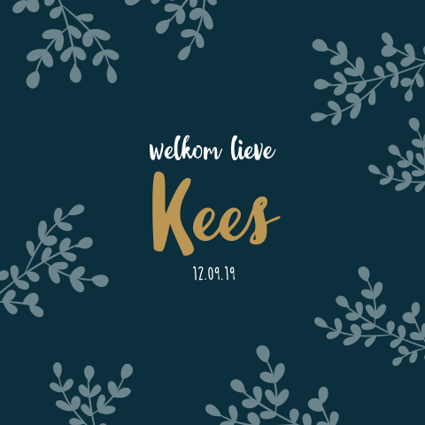 Lief geboortekaartje voor een jongen met takjes en okergele letters