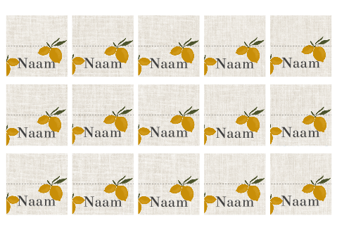 Naamkaartjes voor een unieke tafelsetting, met citroenen.