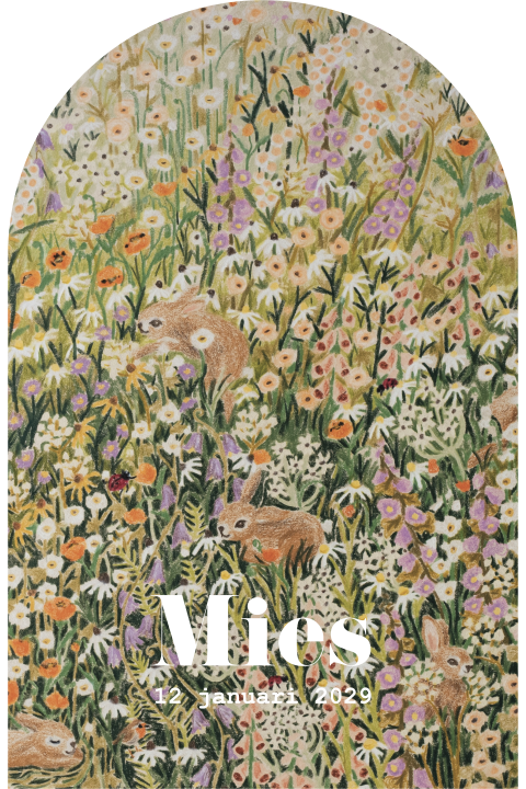geboortekaartje-meisje-jongen-konijntjes-bloemen-illustratie-willemine