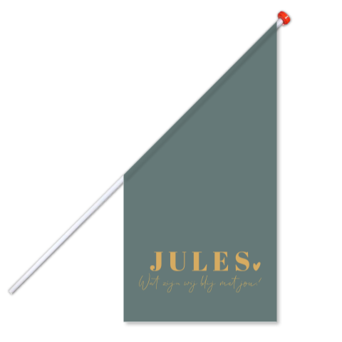 geboortevlag met blauw groene achtergrond gouden letters en hartje