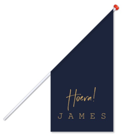 geboortevlag jongen meisje donkerblauw James