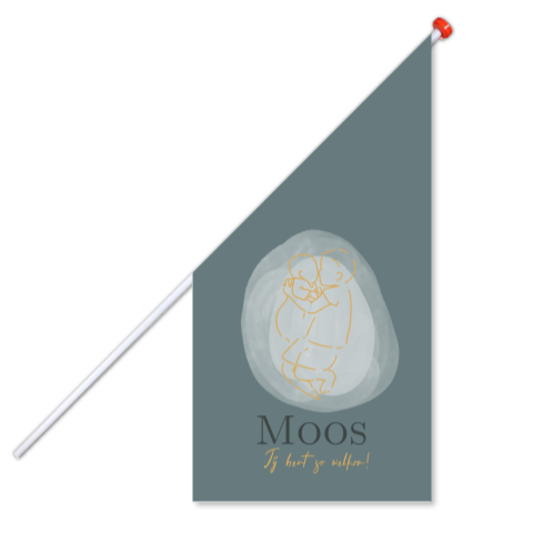 geboortevlag donkerblauw met lijntekening grote broer