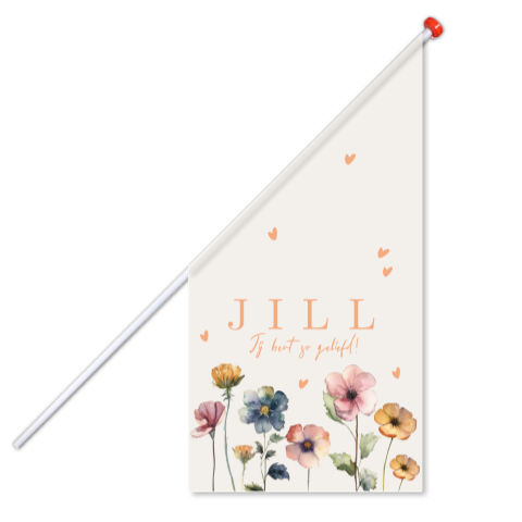 geboortevlag Jill geschilderde veldbloemen kleurrijk