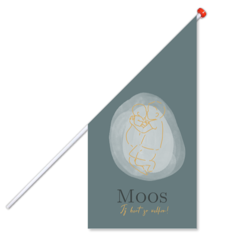 geboortevlag donkerblauw met lijntekening grote broer