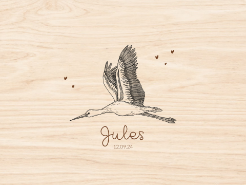 Geboortekist met ooievaar bewaren van de eerste maanden baby